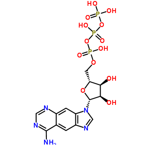 61925-58-4 structure