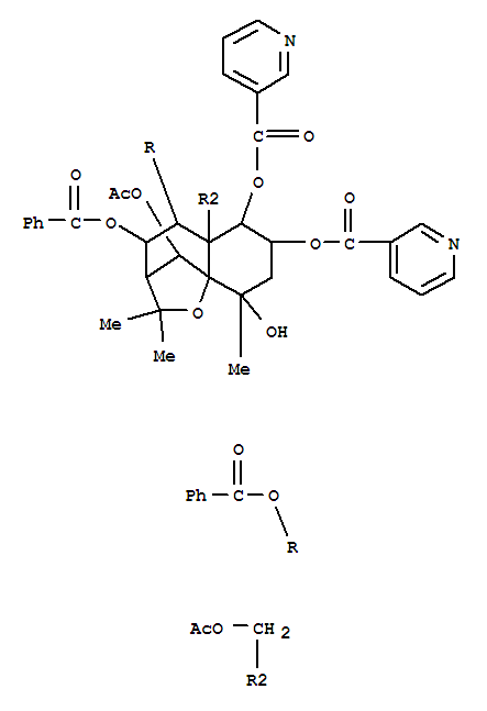 152340-58-4 structure